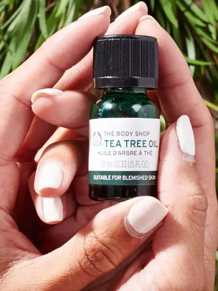 høstens trender hos moldetorget