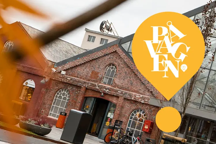 Bruk november og tiden frem til den travle førjulstiden godt, senk tempoet og skuldrene.