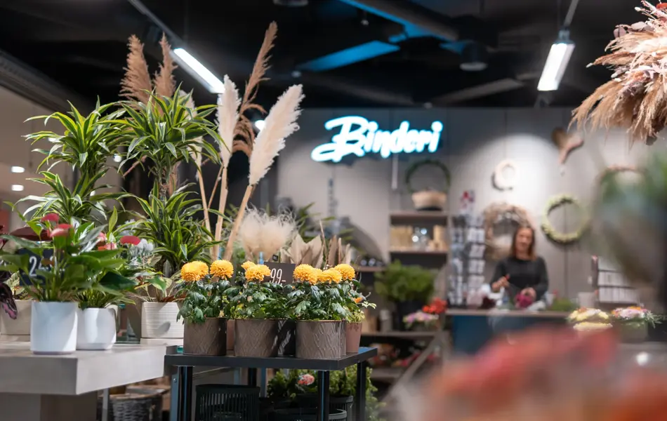 binderi hos amfi vågen