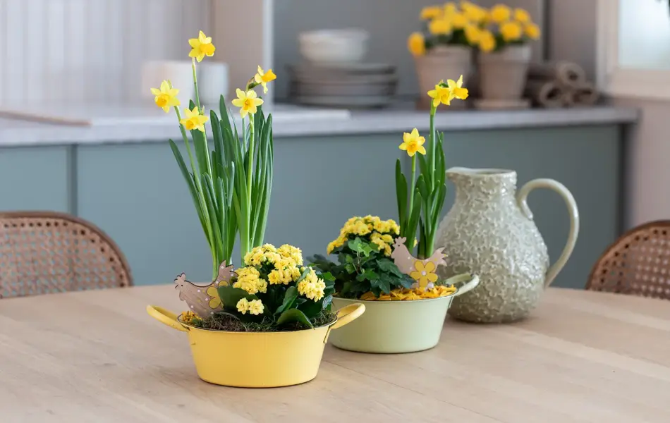 Påskeblomster og dekorasjoner fra Mester Grønn