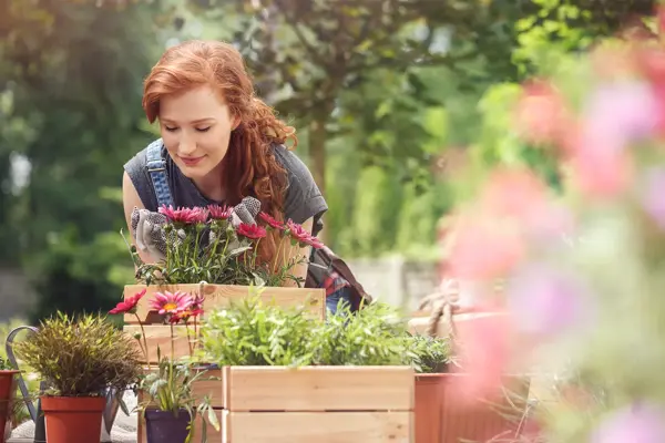 kvinne som holder på med blomster i hagen