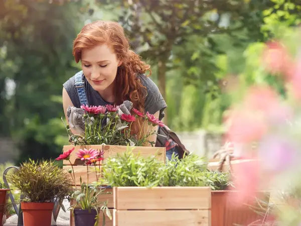 kvinne som holder på med blomster i hagen