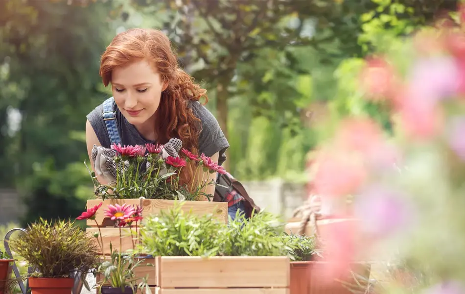 kvinne som holder på med blomster i hagen