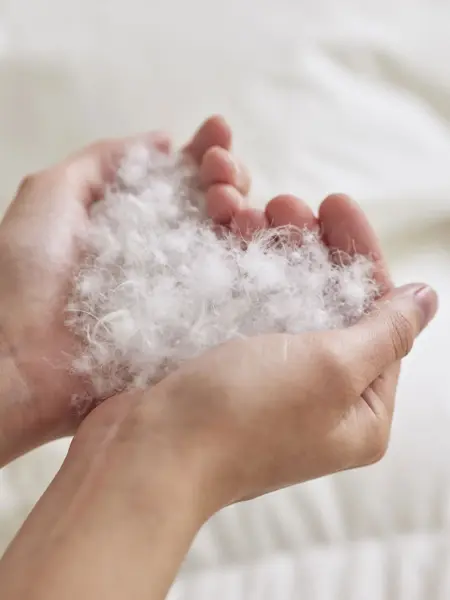 Hender som holder dun