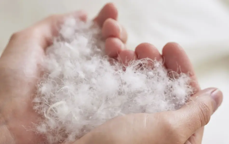 Hender som holder dun