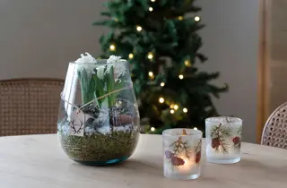 mester-gronn-svibel-i-glassvase-uke47-3.2