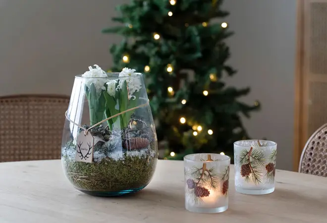 mester-gronn-svibel-i-glassvase-uke47-3.2