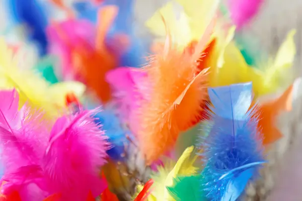 Colorful Easter twigs in pink, yellow and blue color