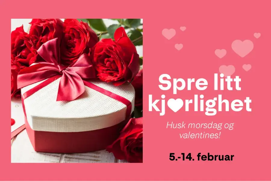 nettsiden (710x320 px) (3 x 2 in) - 1