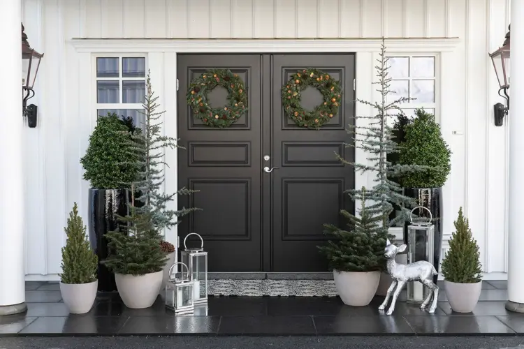 Einer, gran, sypress og sedertre er vakre gjennom hele vinteren.