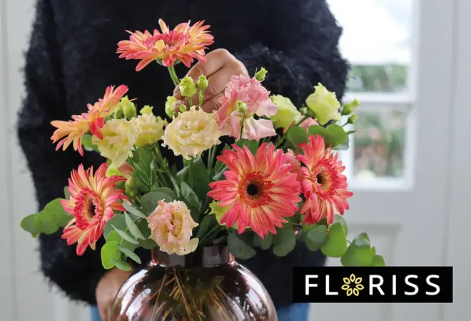 floriss-bunter-uke01-3.2