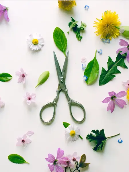 Små blomsterkvister, saks og tråd på trebord