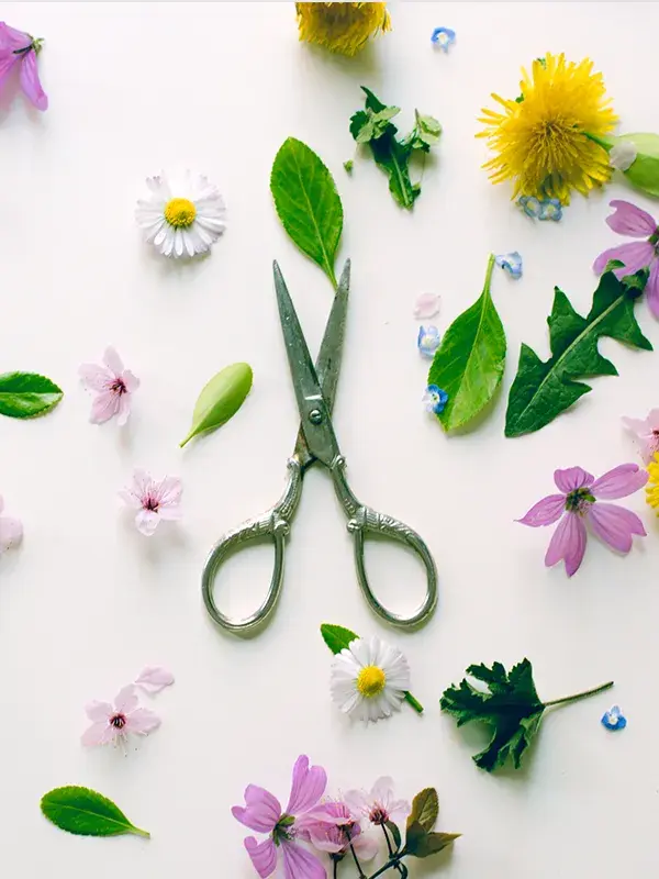 Små blomsterkvister, saks og tråd på trebord