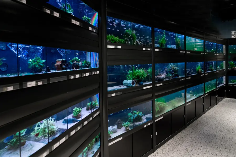 Unike konsepter og destinasjon shopping på Sandvika Storsenter 