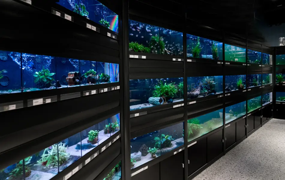 Unike konsepter og destinasjon shopping på Sandvika Storsenter 