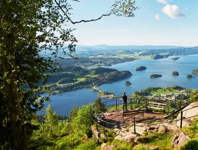 Utsiktsbilde av fjord og skog
