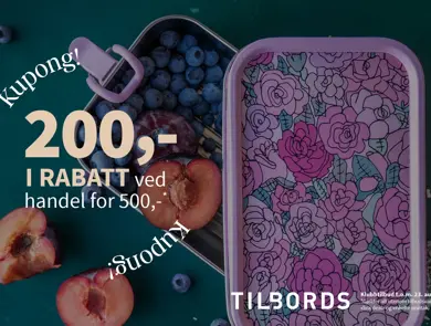 Eksempelbilde av tilbudet.