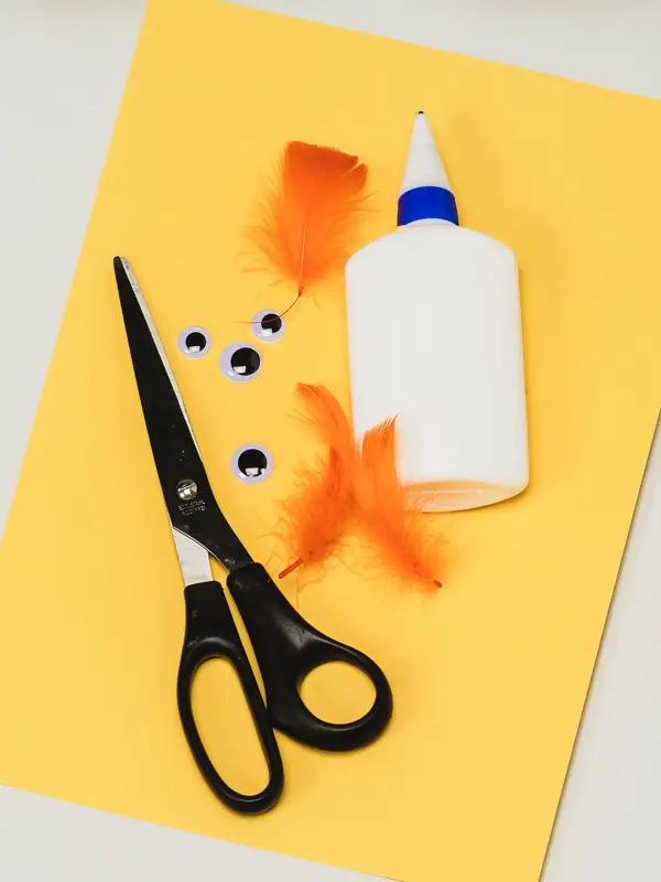 Gult ark, sort saks, fire øyne, tre oransje fjær og en limflaske