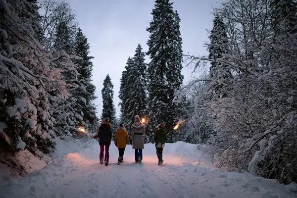 Mother and three kids hiking in beautiful winter forest at late evening. Kids are holding flaming torches.
Show with Canon R5