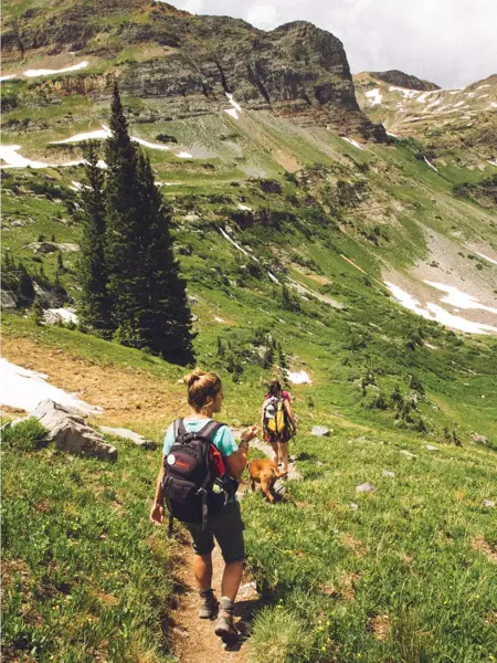 Et par på fjelltur med hund