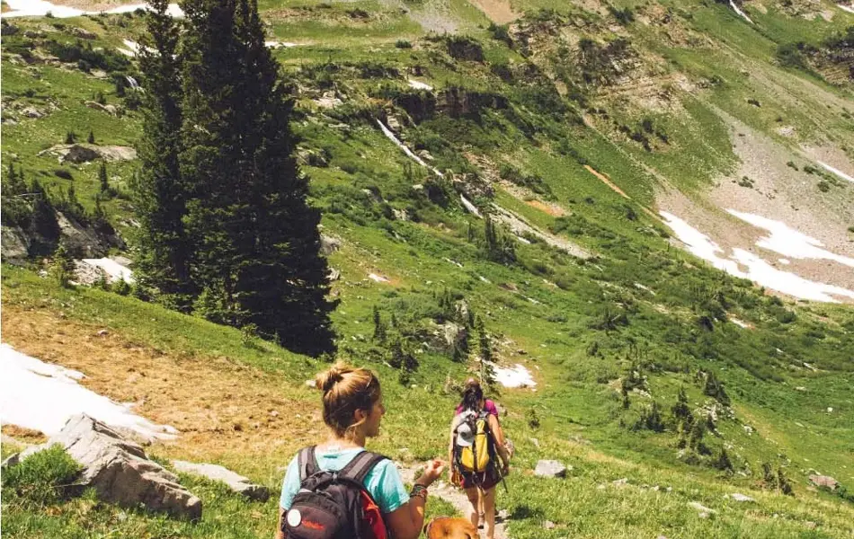 Et par på fjelltur med hund