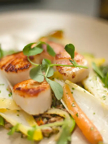 Nærbilde av stekte kamskjell og grønnsaker på hvit tallerken. Foto til artikkel om sesongbaserte bryllupsmenyer.