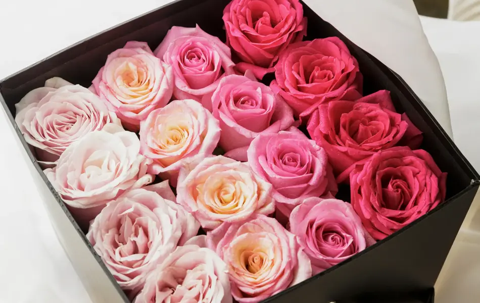 Rosa roser i en firkantet boks