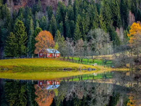 Semsvann i Asker. En rød hytte, med huskestativ utenfor. I forgrunnen ses vann. i bakgrunn skog i høstfarger.
