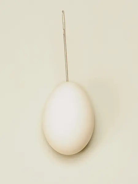 Et egg med en nål i