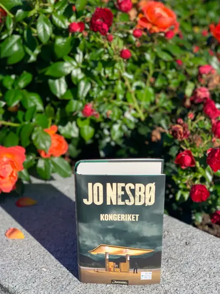 høstens trender hos moldetorget