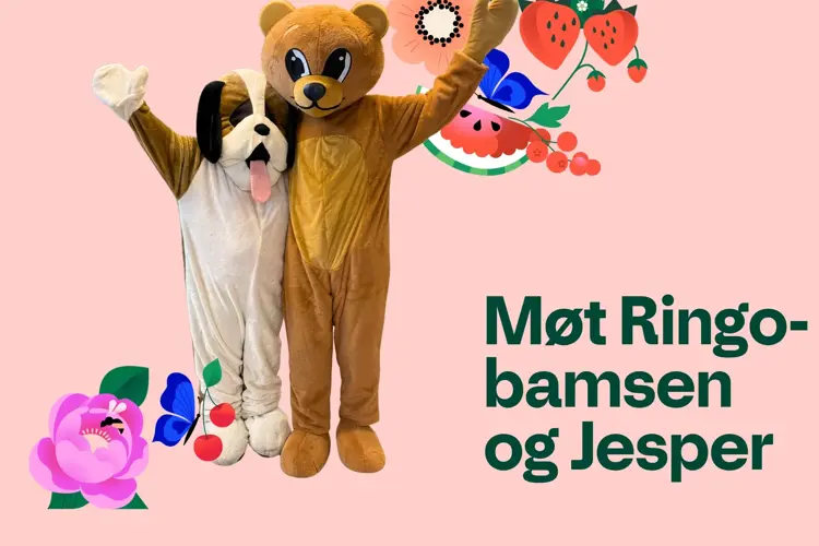 Møt Ringobamsen og Jesper