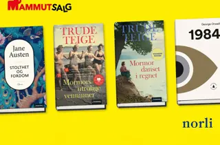 norli-romaner-uke8-4.3
