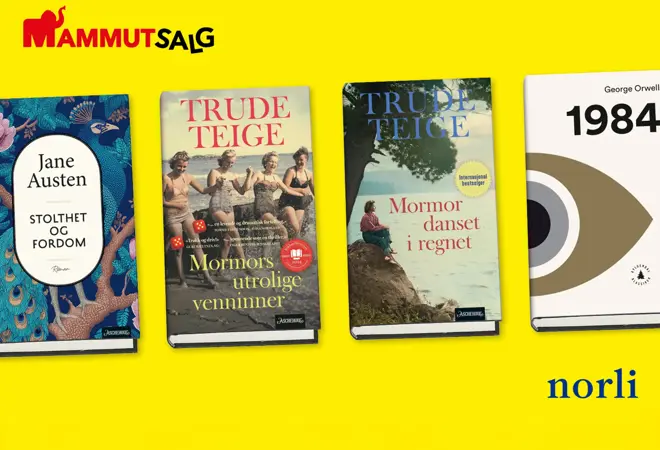 norli-romaner-uke8-4.3