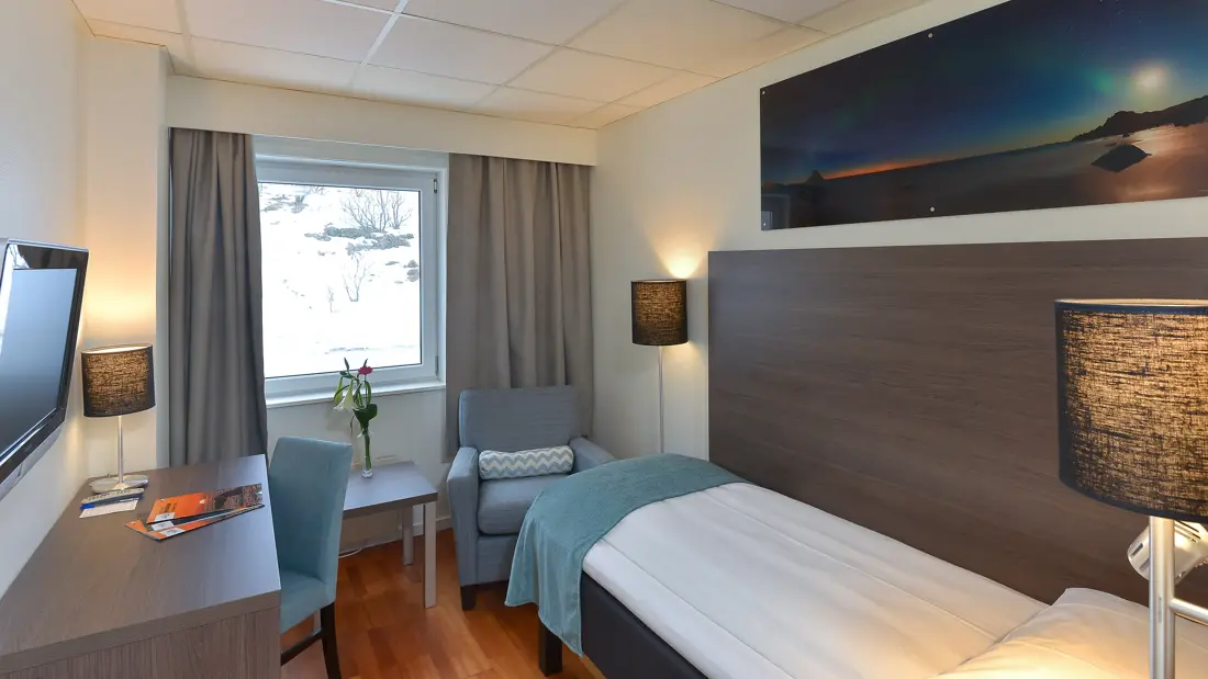 Standardrom med enkeltseng, maleri og utsikt