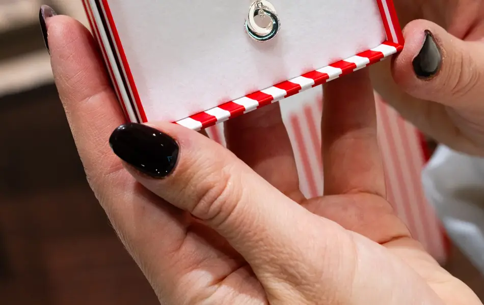 Mestergull gavesett i sølv 499-1