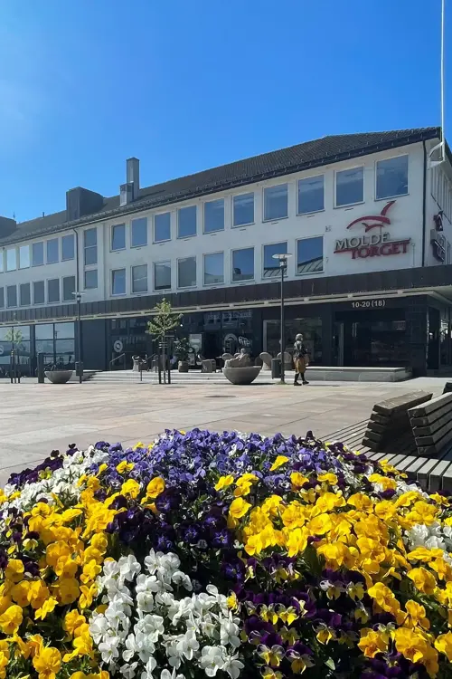 Fasadebilde av kjøpesenteret MoldeTorget. Bildet viser kjøpesenteret i bakgrunnen med sjø, blomster og kunst i forgrunnen.