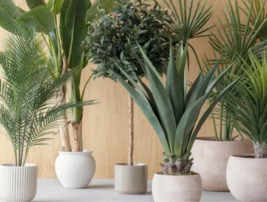 kremmerhuset-grønne-planter-uke25-4.3