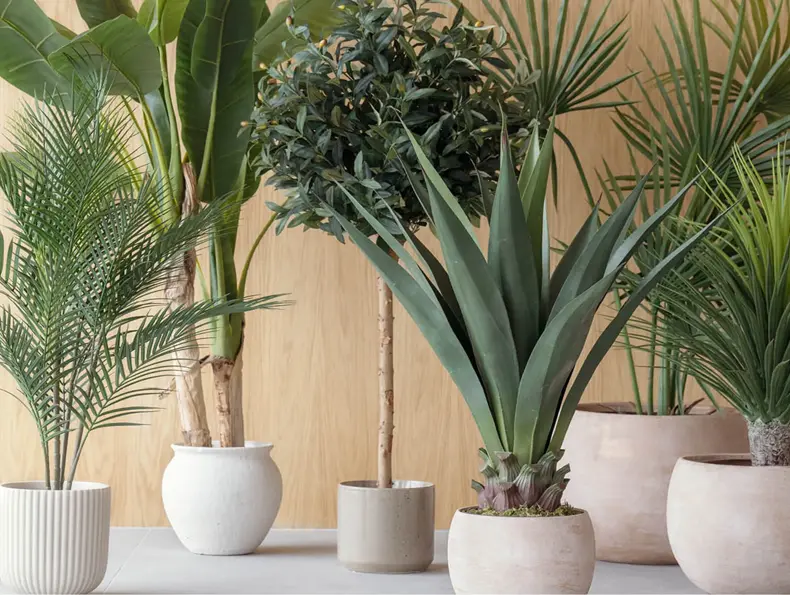 kremmerhuset-grønne-planter-uke25-4.3