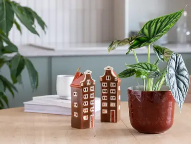 Grønne planter fra Mester Grønn