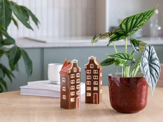 Grønne planter fra Mester Grønn