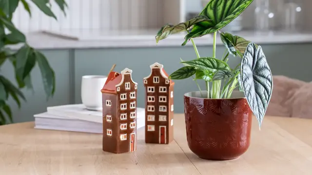 Grønne planter fra Mester Grønn