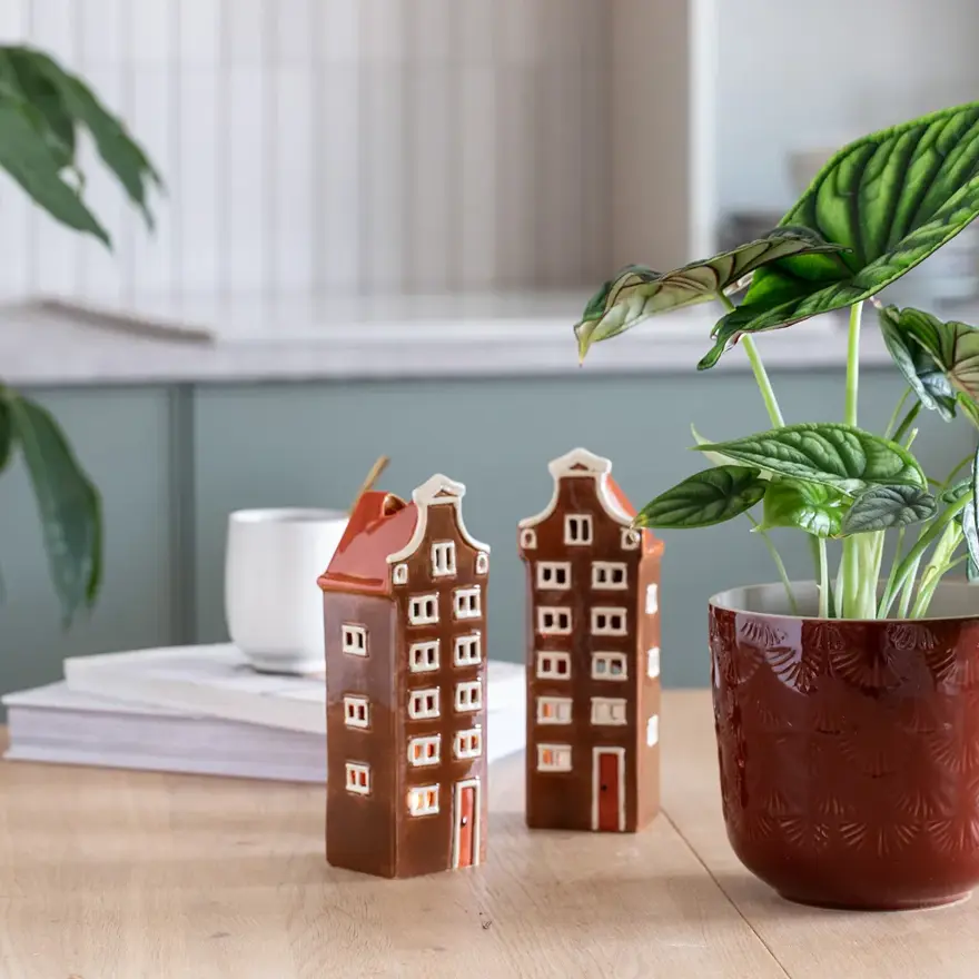 Grønne planter fra Mester Grønn