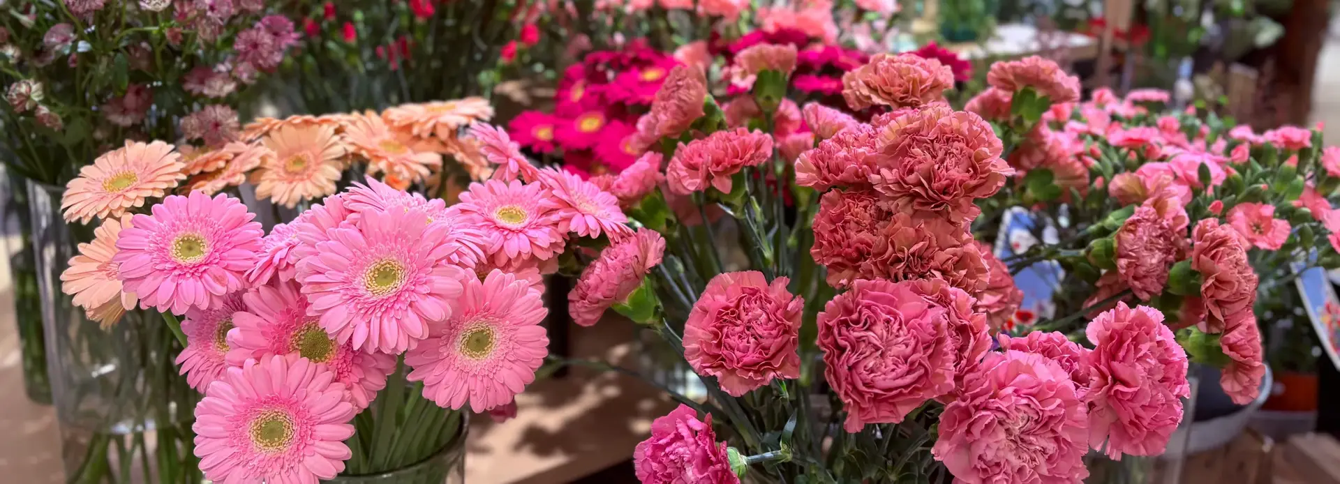 masse blomster i rosa