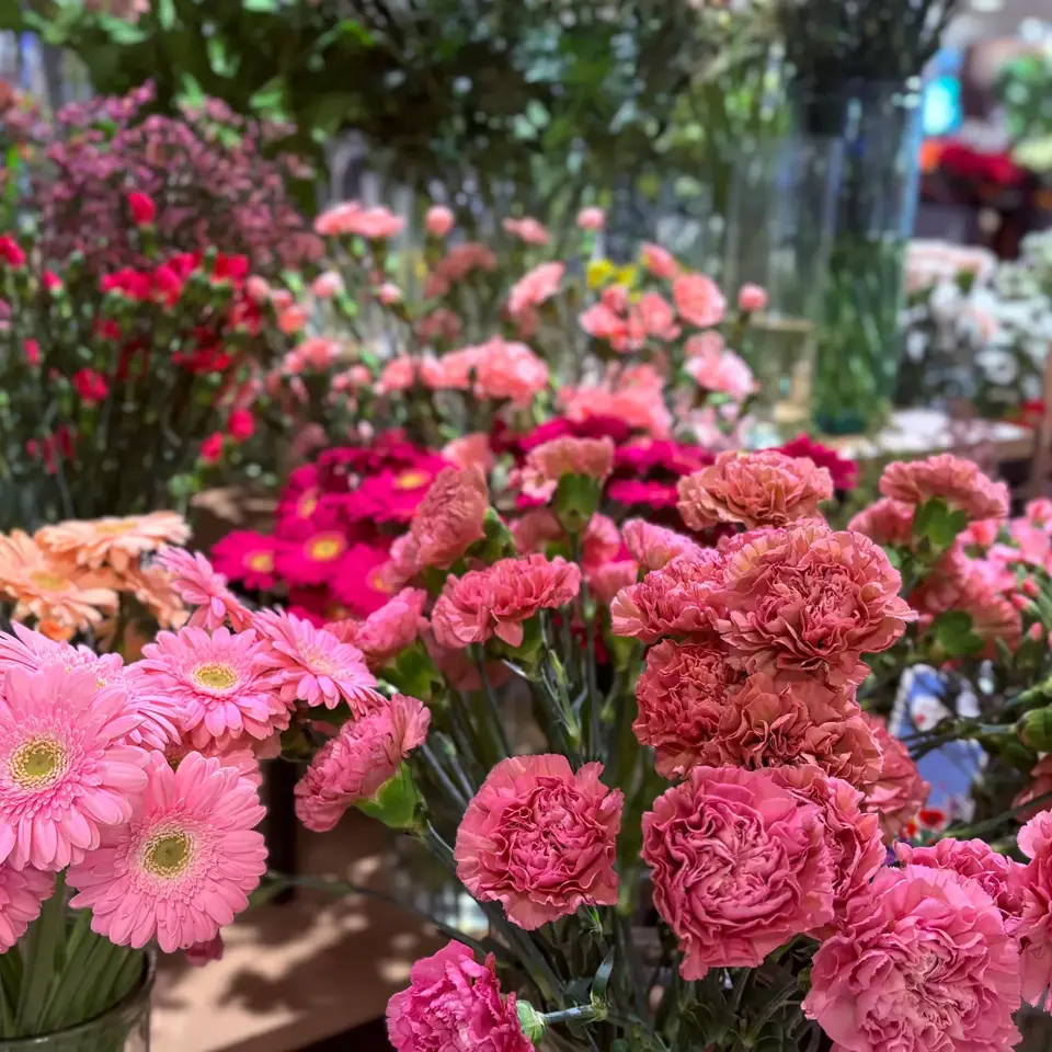 masse blomster i rosa