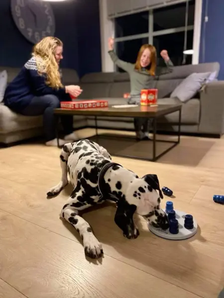 hund, mor og barn leker