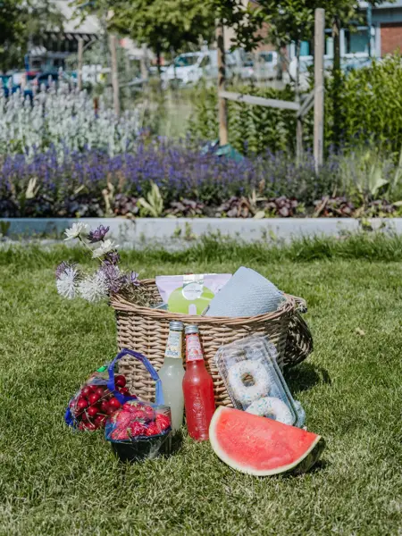 Piknikkurv på gresset