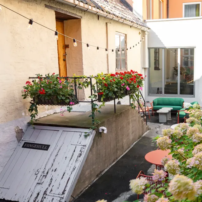 Fargerike blomster i bakgård