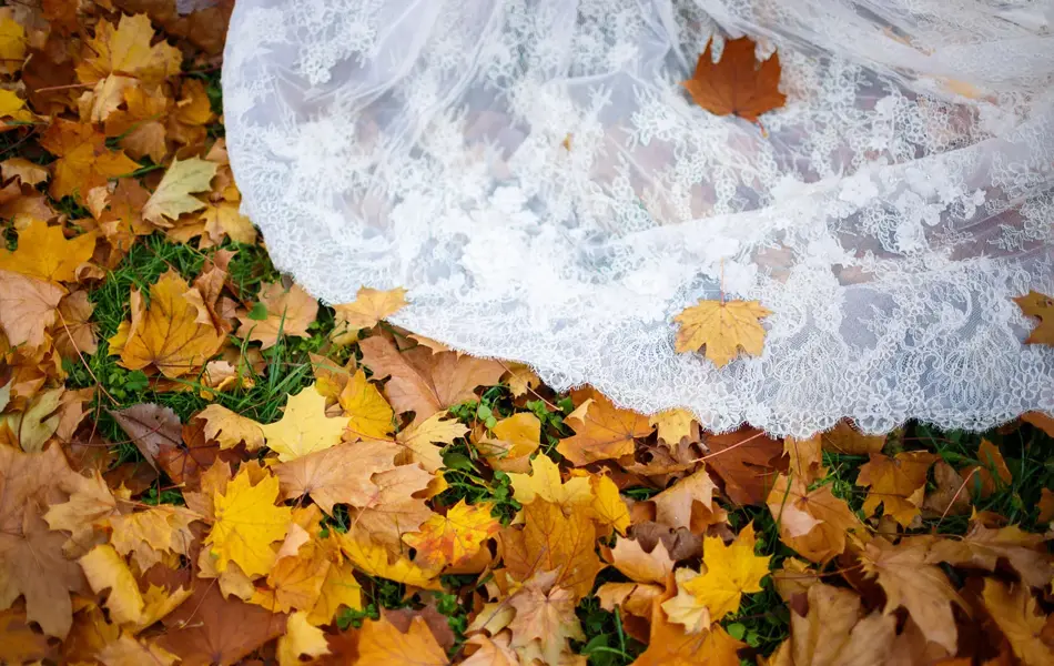 Nærbilde av brudekjolekant i gult høstløv. Foto til artikkel om bryllupsmenyer tilpasset sesong.