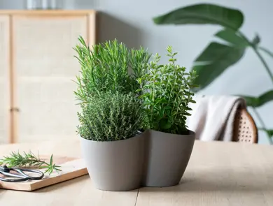 mester-gronn-italienske-urter-uke15-16-4.3