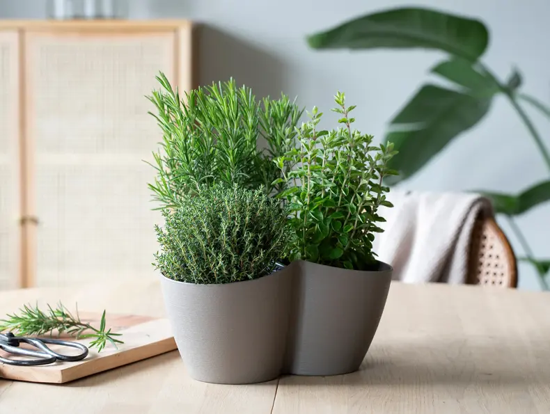 mester-gronn-italienske-urter-uke15-16-4.3